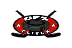 DFS Elites – NFL NHL MLB